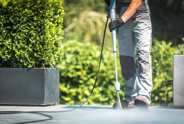 Best Patio and Deck Pressure Washing  in Cedar Glen West, NJ